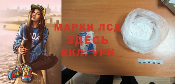 индика Алексин