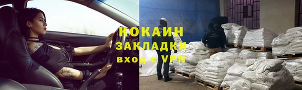 индика Алексин