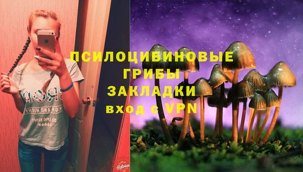 индика Алексин
