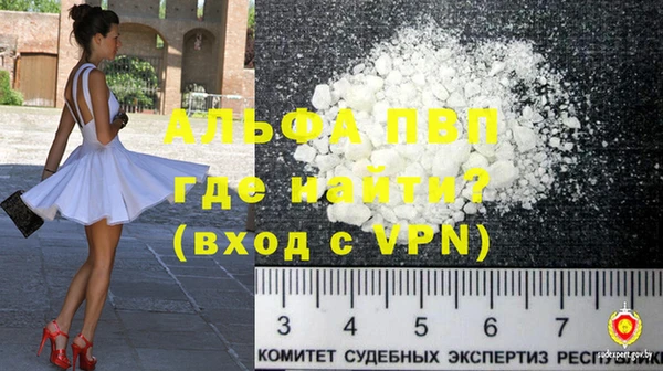индика Алексин